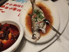 -同庆楼(华强吾悦广场店)