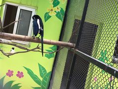 -荆州中山公园动物园