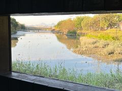 -福田红树林生态公园