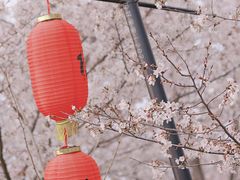 -古柏渡飞黄旅游区