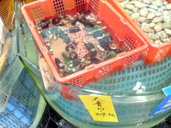 -东豪园林海鲜酒家(南港路辅路店)
