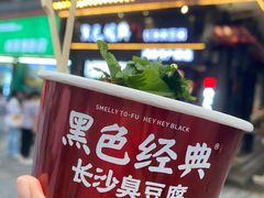 -黑色经典臭豆腐·湖南特产(坡子街店)