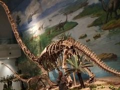 -自贡恐龙博物馆