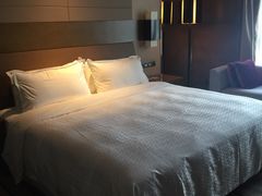 -扬州绿地铂骊酒店