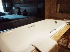 -河源万绿湖美思威尔顿酒店