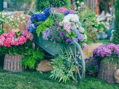 -老洋房花园饭店(绍兴路店)