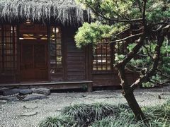 -中国茶叶博物馆(双峰馆区)