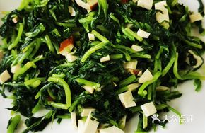 Mixed Tofu and Malan Head Salad