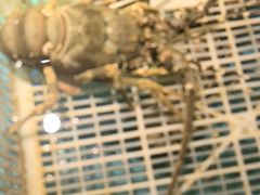 -拉完海鲜大排档(温岭店)
