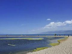 -青海湖国家重点风景名胜区