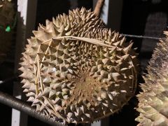 -都念榴莲·城市榴莲