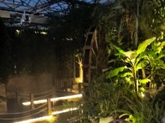 -金稼园·金平湖农家菜
