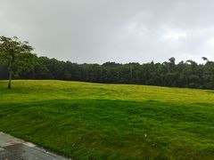 -玉树公园