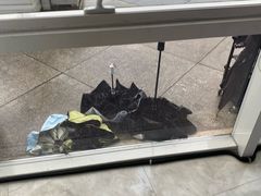 -宣城市博物馆