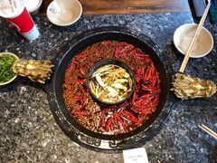 红白鸳鸯-蜀大侠火锅(寰球文化地标·总府店)