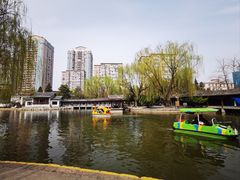 -团结湖公园
