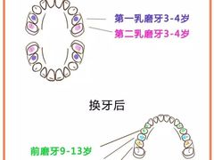 -团圆口腔·种植中心(锦江院区)