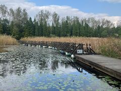 -溱湖国家湿地公园