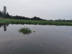-保定东湖公园(莲池区)