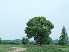 -良渚古城遗址公园
