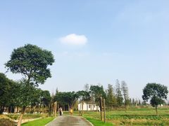 -田园东方蜜桃村的田野营地