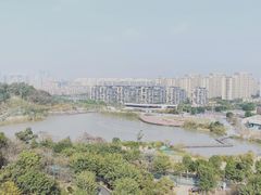 -飞凤山奥体公园