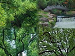 -杭州植物园