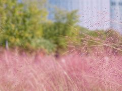 -艾溪湖湿地公园