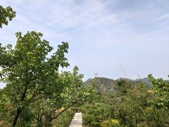 -金龙寺国家森林公园
