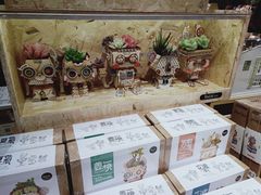 -九木杂物社(恒隆广场店)