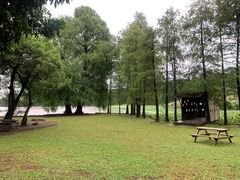 -南宁良凤江国家森林公园