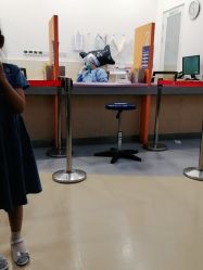 -上海交通大学医学院附属上海儿童医学中心(陆家嘴总院区)