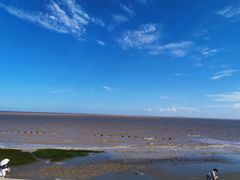 -南汇嘴观海公园