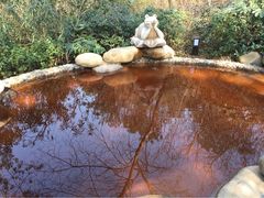 iphone_upload_pic-天目湖涵田半山温泉水乐园