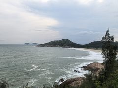 -广东惠东海龟国家级自然保护区