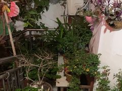 -臭鳜鱼人家·老字号徽菜