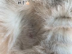 -美联众合动物医院·24h转诊中心
