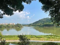 -风云岭森林公园