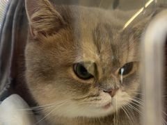 -它主义宠物(梁溪万达店)