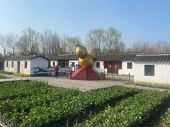 -溱湖国家湿地公园