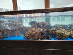 -南海渔村(珠江新城店)