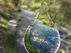 -Bleston Court Yukawatan