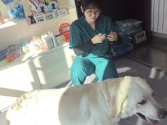 -瑞派宠物医院·犬猫全科·猫友好(宾水西道店)