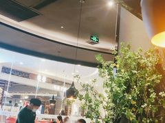-猪无忌·专做猪肚包鸡20年(乐峰广场店)