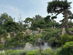 -罗红摄影艺术馆