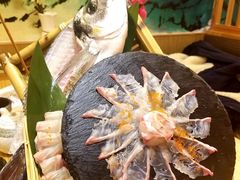 大鲷鱼-鲔屋寿喜烧
