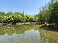 -上海滨江森林公园