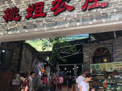 门面-桃姐农庄老字号(从化温泉店)