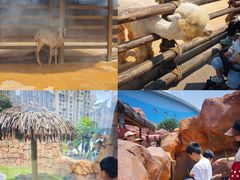 -福州罗源湾海洋世界旅游区