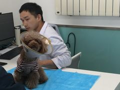 -欧奕国际动物医院